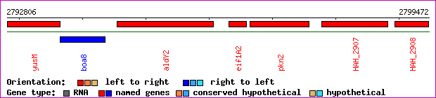 gene map
