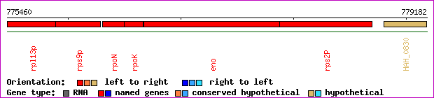 gene map