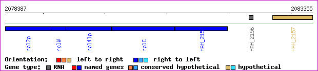 gene map