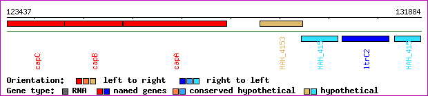 gene map