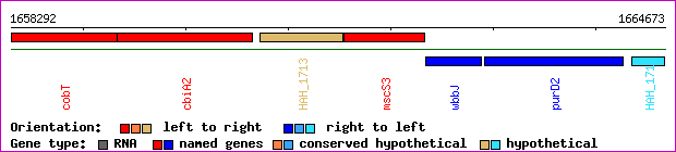 gene map