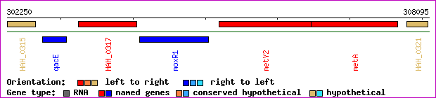 gene map