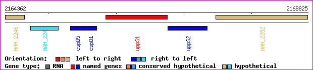 gene map