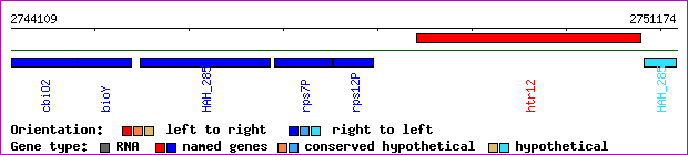 gene map