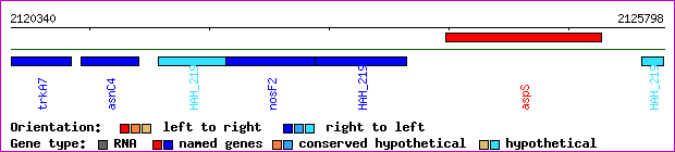 gene map
