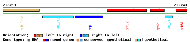 gene map
