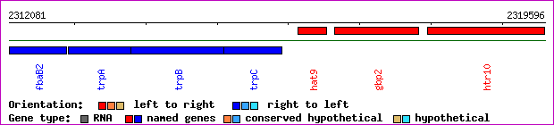 gene map