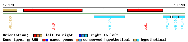 gene map