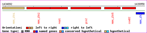 gene map