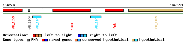 gene map