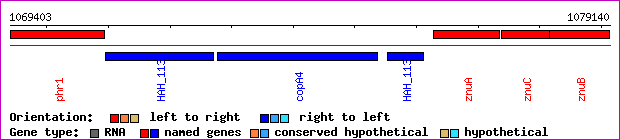 gene map