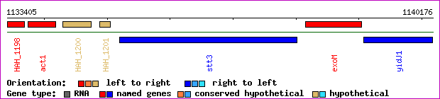 gene map