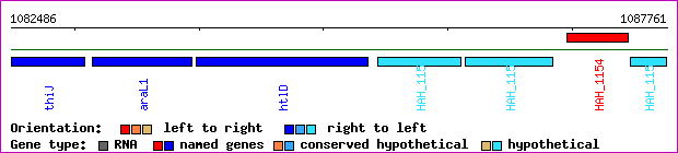 gene map
