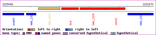 gene map