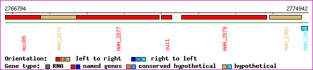 gene map
