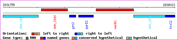 gene map