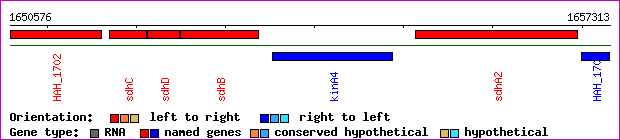 gene map