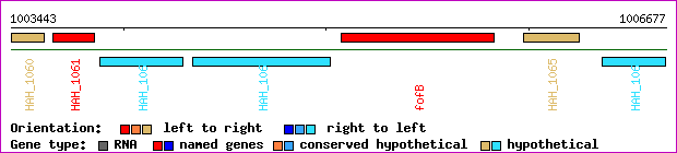 gene map