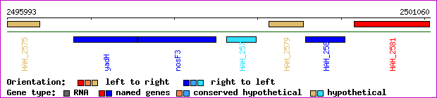 gene map