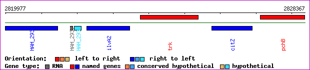 gene map