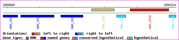gene map