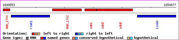 gene map