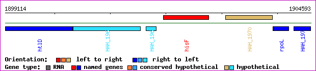 gene map