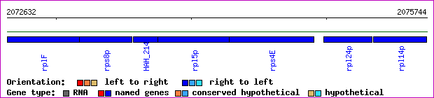 gene map