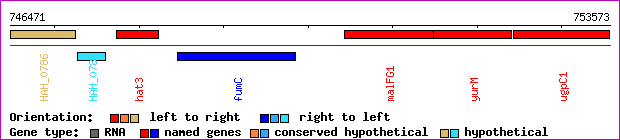 gene map