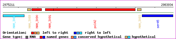 gene map