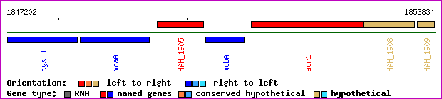 gene map