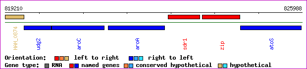 gene map