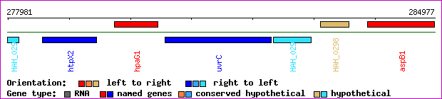 gene map