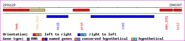 gene map