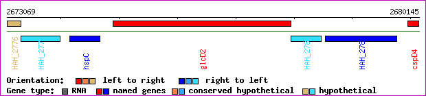 gene map