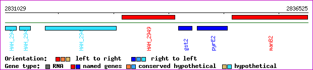 gene map