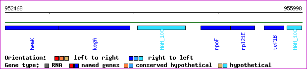 gene map