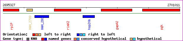 gene map