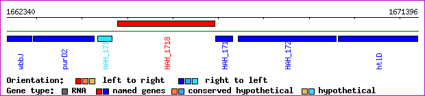 gene map