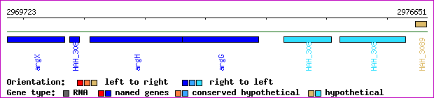 gene map