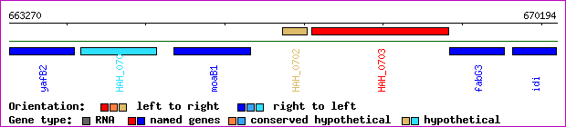 gene map