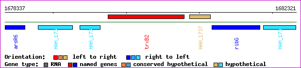 gene map