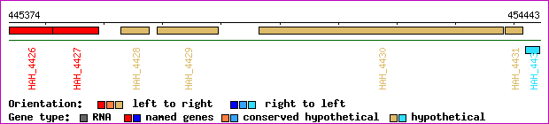 gene map