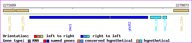 gene map