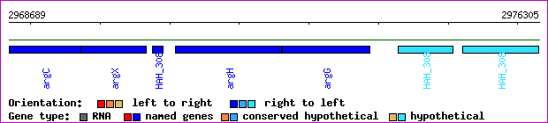 gene map