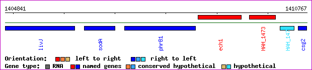gene map