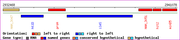 gene map