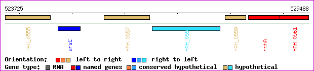 gene map