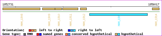 gene map