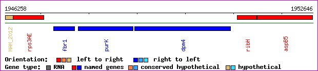 gene map